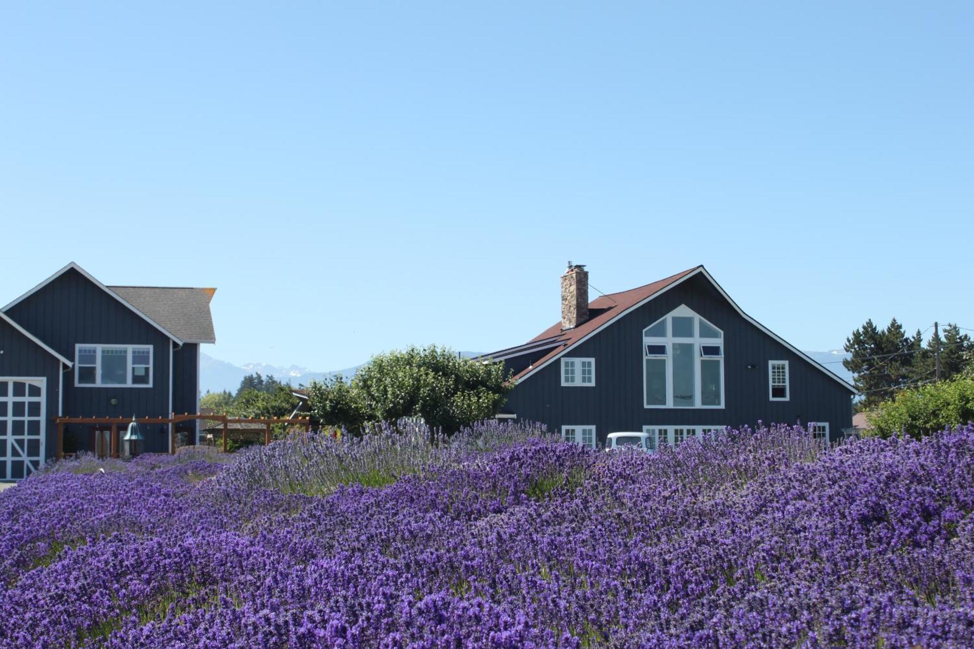 Dungeness Barn House Bed And Breakfast At Two Crows Farm Sequim Zewnętrze zdjęcie