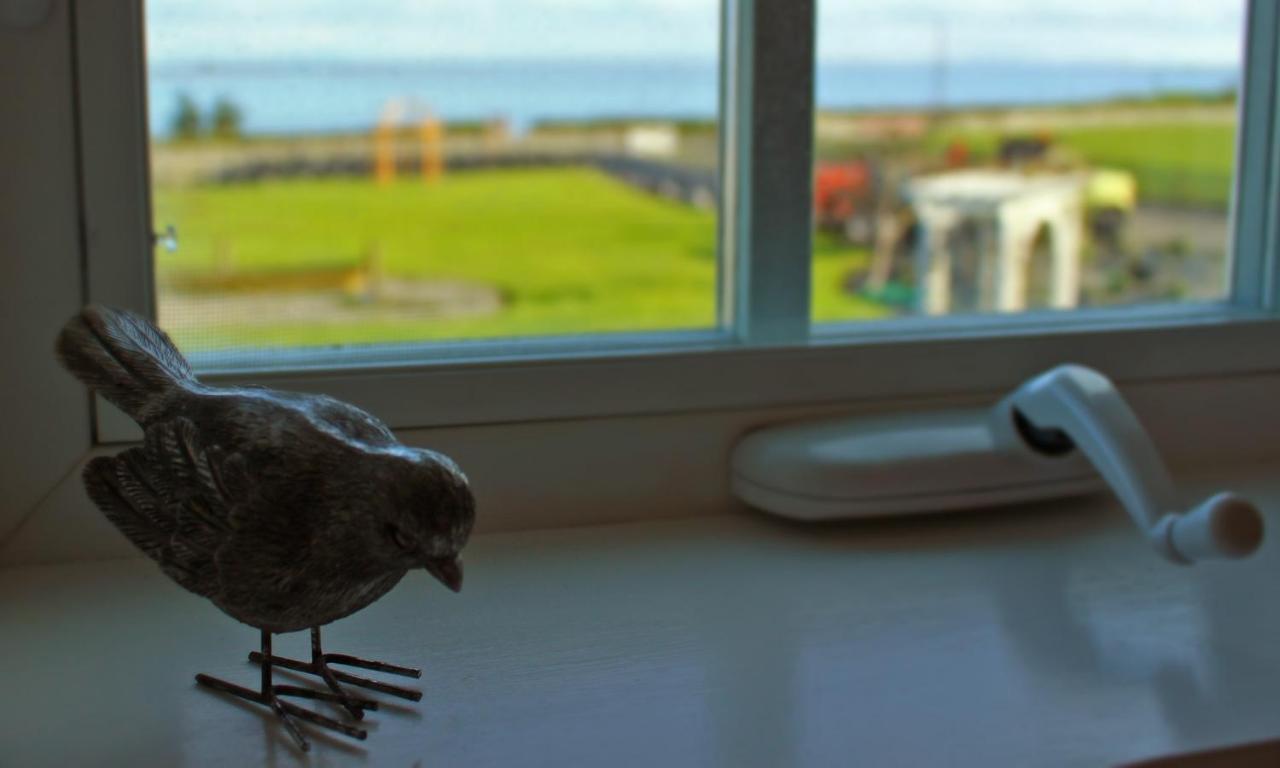Dungeness Barn House Bed And Breakfast At Two Crows Farm Sequim Zewnętrze zdjęcie